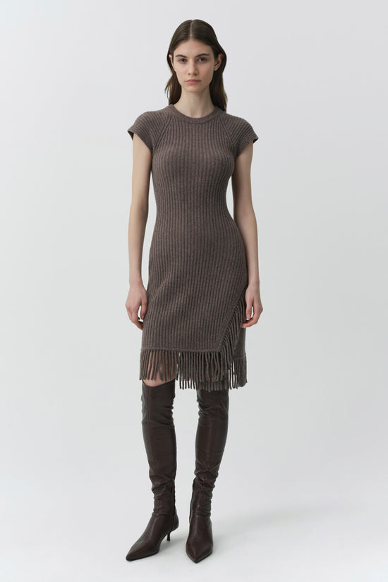 Margot Knit Fringe Mini Dress