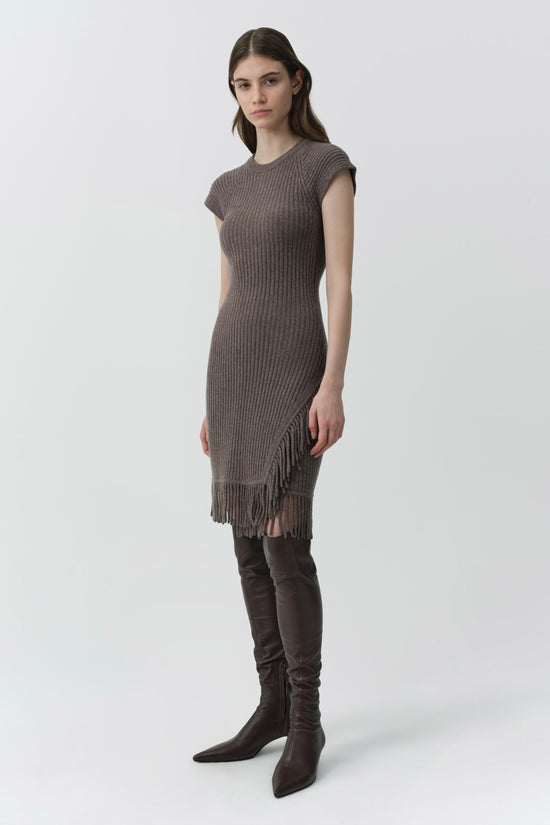 Margot Knit Fringe Mini Dress