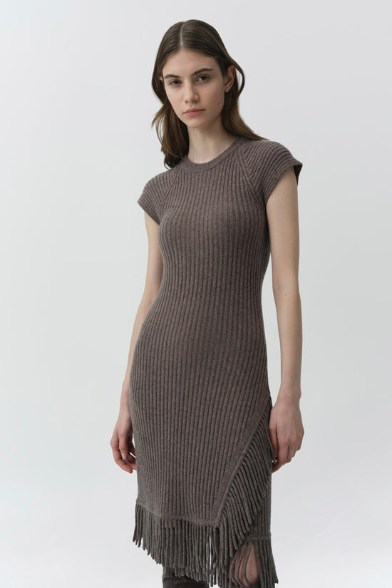 Margot Knit Fringe Mini Dress