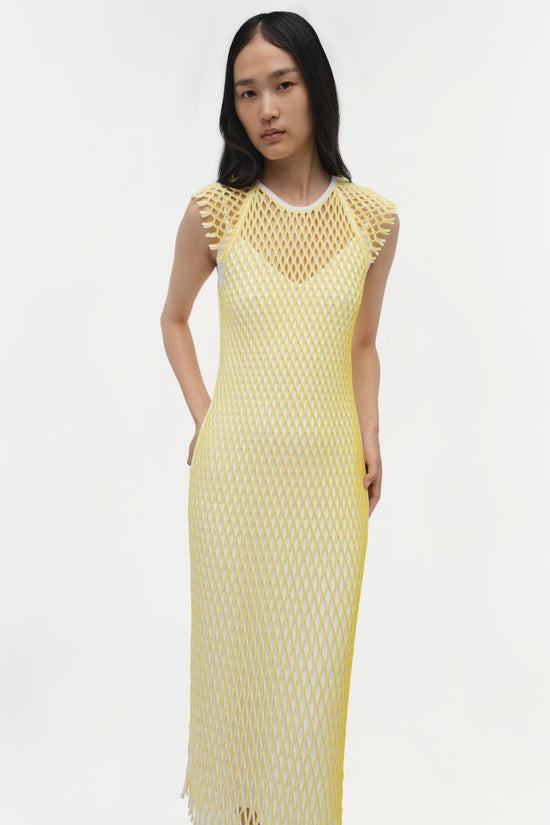 Faylen Knit Midi Dress