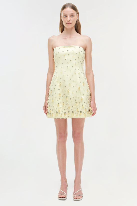 Yasmin Embellished Strapless Mini Dress