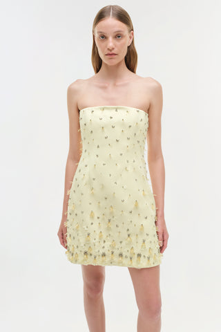Yasmin Embellished Strapless Mini Dress