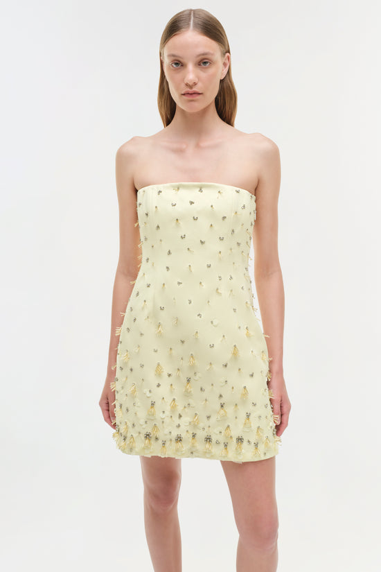 Yasmin Embellished Strapless Mini Dress