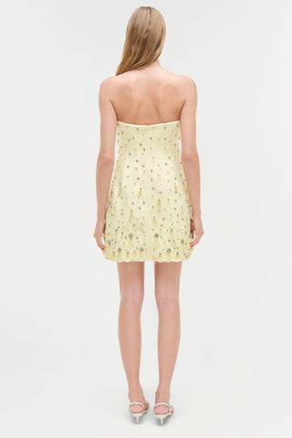 Yasmin Embellished Strapless Mini Dress