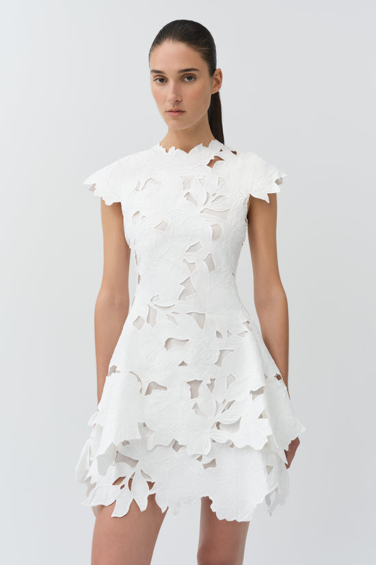 Holloway Embroidered Mini Dress