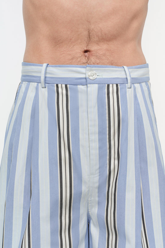 Hugh Poplin Shorts
