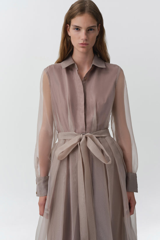 Montgomery Organza Midi Dress