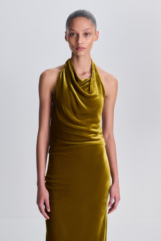 Reannon Draped Velvet Draped Gown