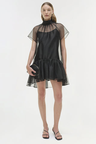 Beaux Organza Dress