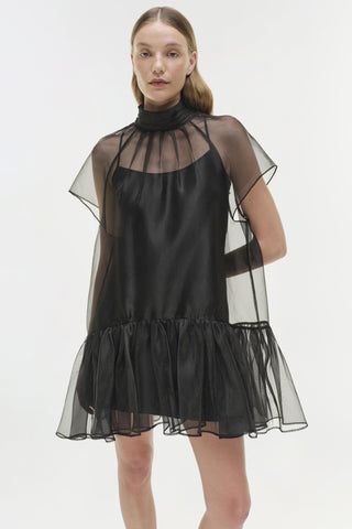 Beaux Organza Dress