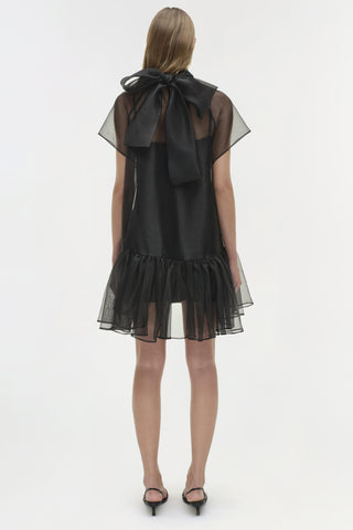 Beaux Organza Dress