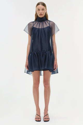 Beaux Organza Dress
