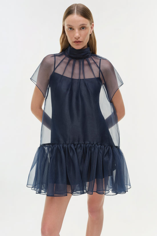 Beaux Organza Dress