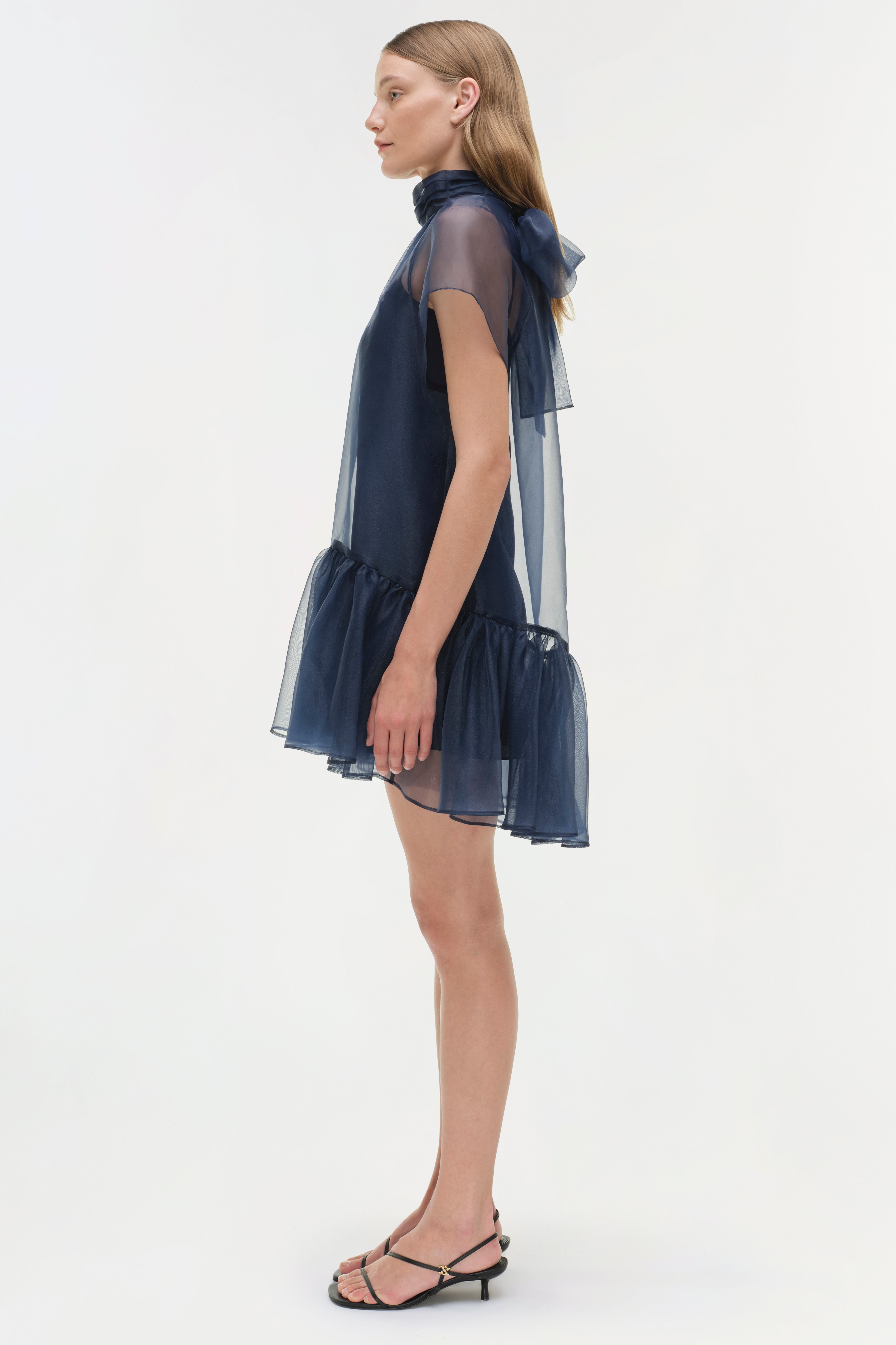 Beaux Organza Dress SIMKHAI Beaux Organza Dress SIMKHAI
