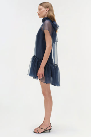 Beaux Organza Dress