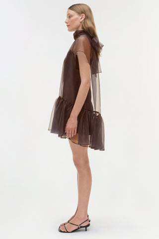 Beaux Organza Dress