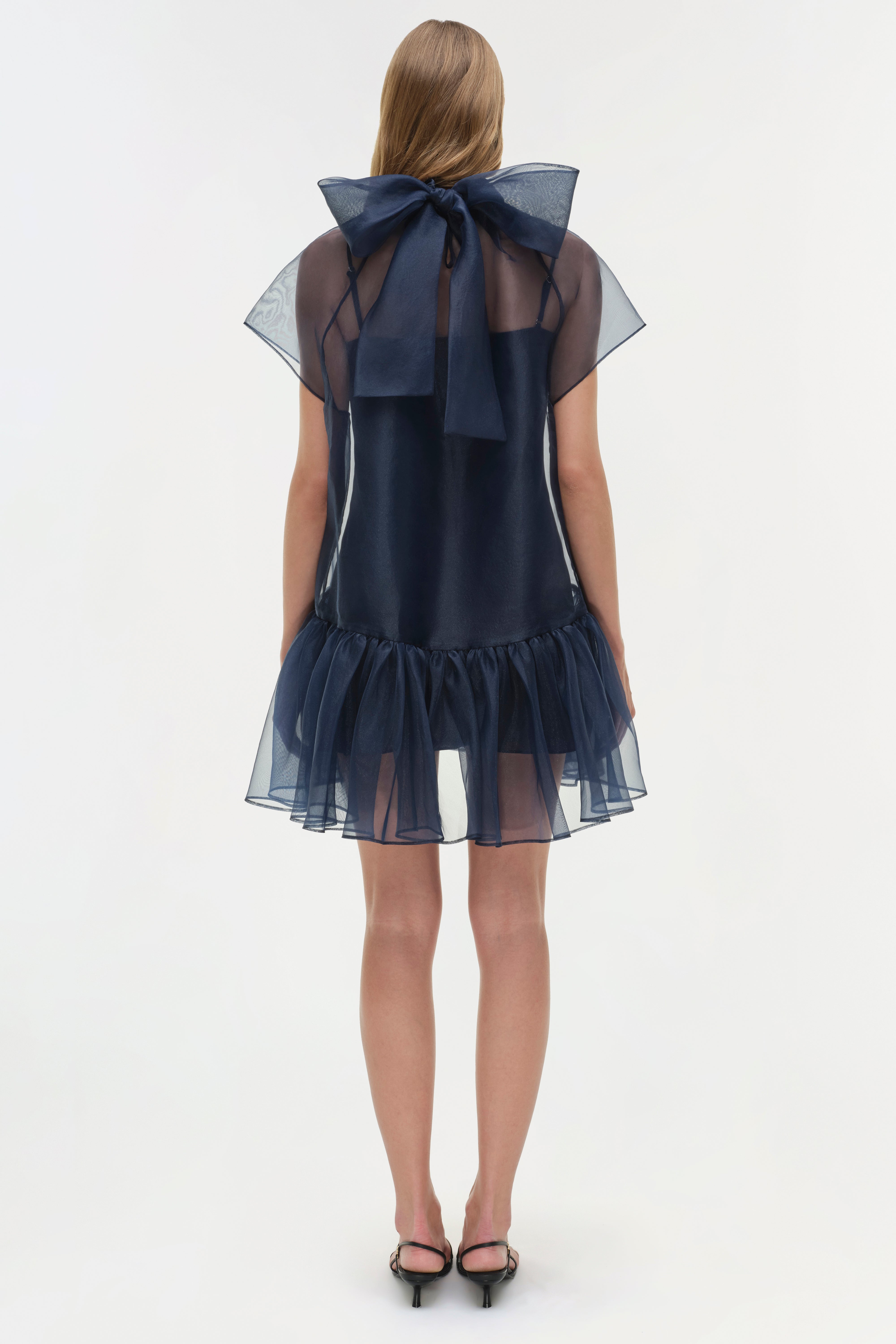 Beaux Organza Dress SIMKHAI Beaux Organza Dress SIMKHAI