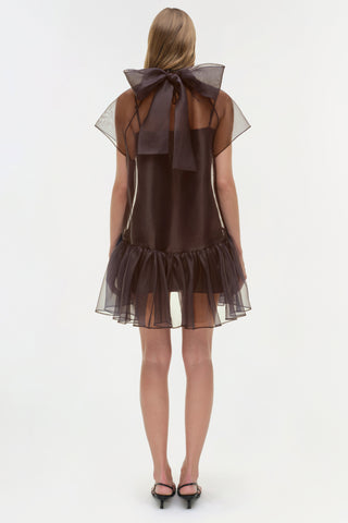 Beaux Organza Dress