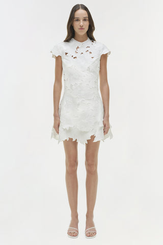 Holloway Embroidered Mini Dress