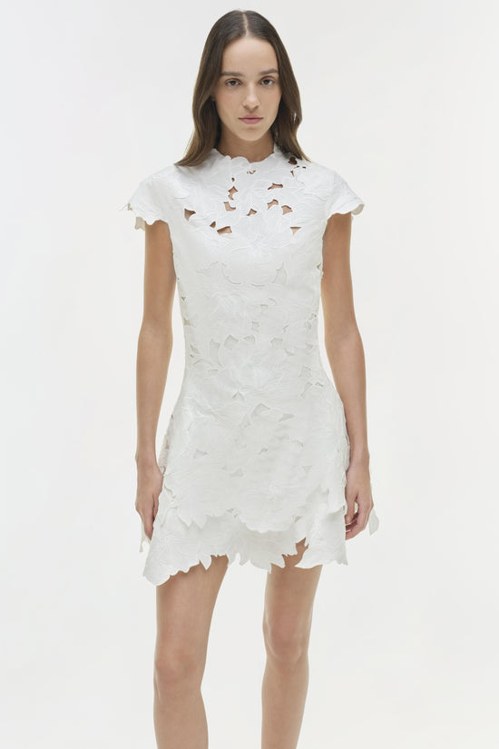 Holloway Embroidered Mini Dress