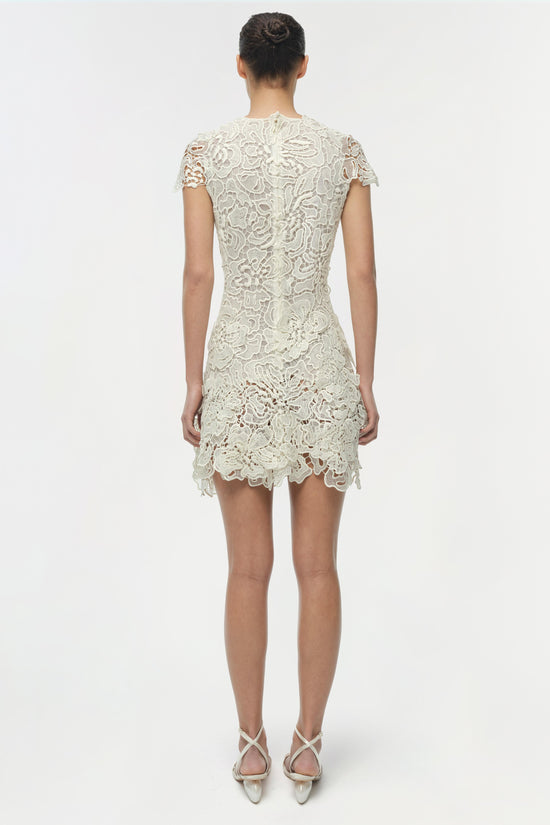 Novelle Lace Mini Dress