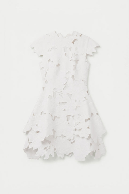 Holloway Embroidered Mini Dress