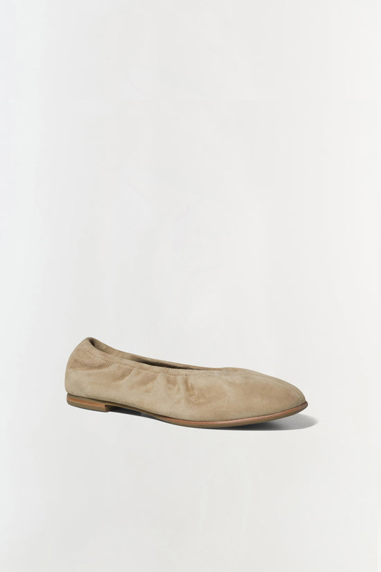 Danna Suede Ballet Flat
