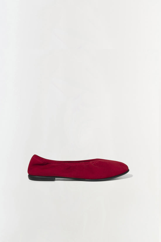 Danna Suede Ballet Flat