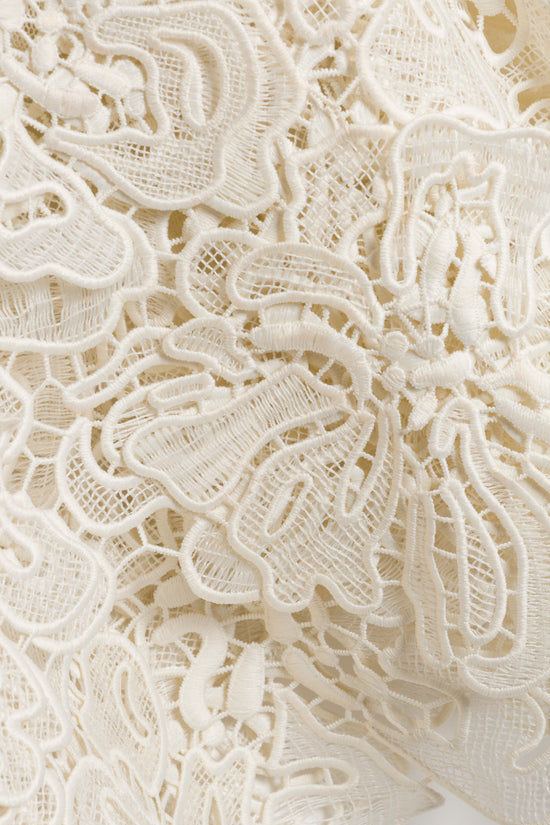 Novelle Lace Mini Dress