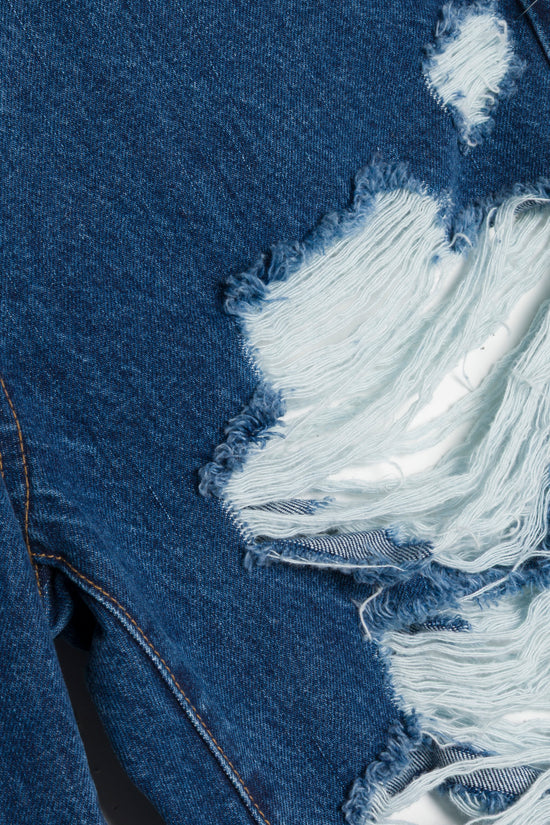 Erie High Waist Distressed Denim Pant