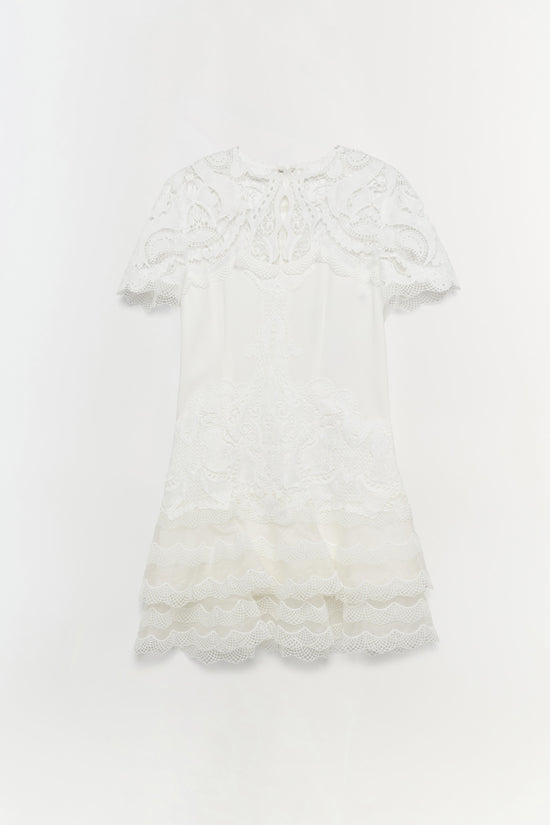 Signature Paislee Dress