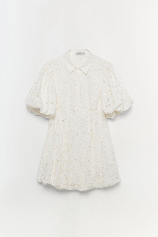 Cleo Embroidered Mini Dress