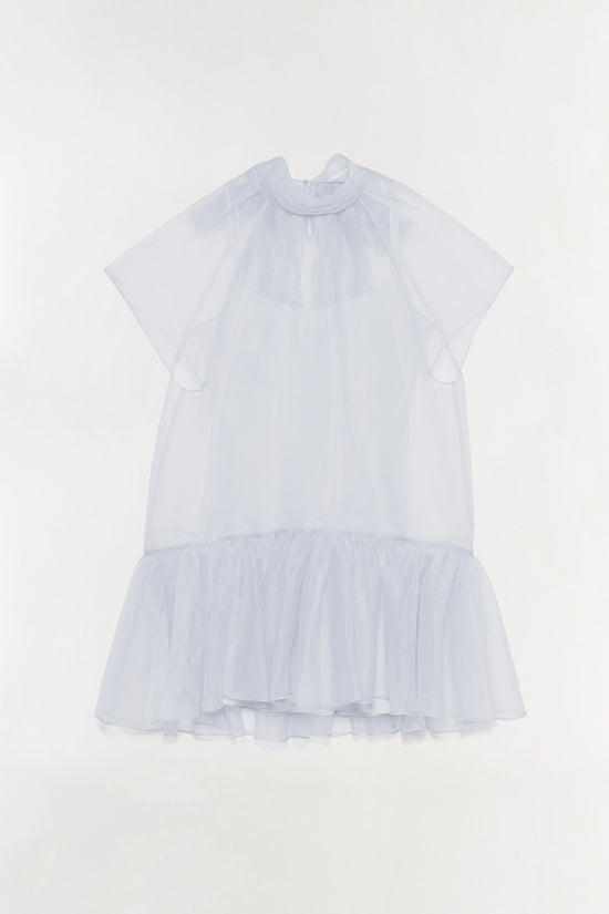 Beaux Organza Mini Dress