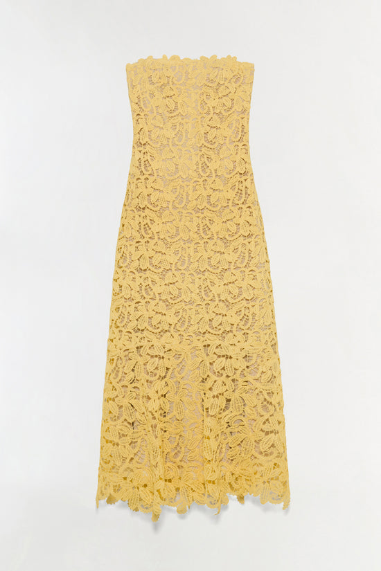 Sera Floral Raffia Bustier Midi Dress