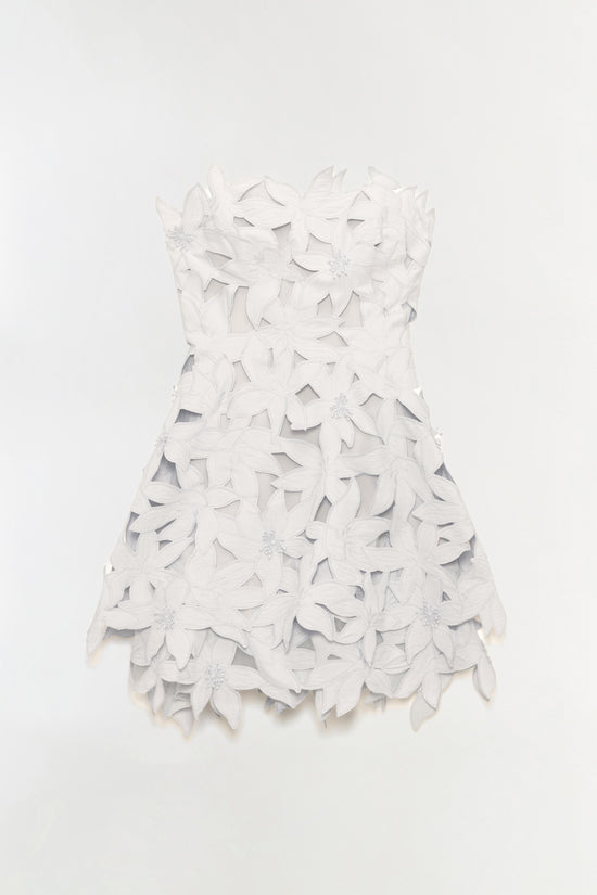 Miri Embroidered Cotton Bustier Mini Dress