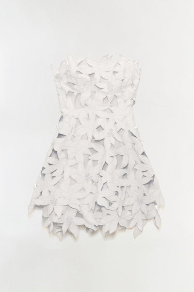 Miri Embroidered Cotton Bustier Mini Dress – SIMKHAI