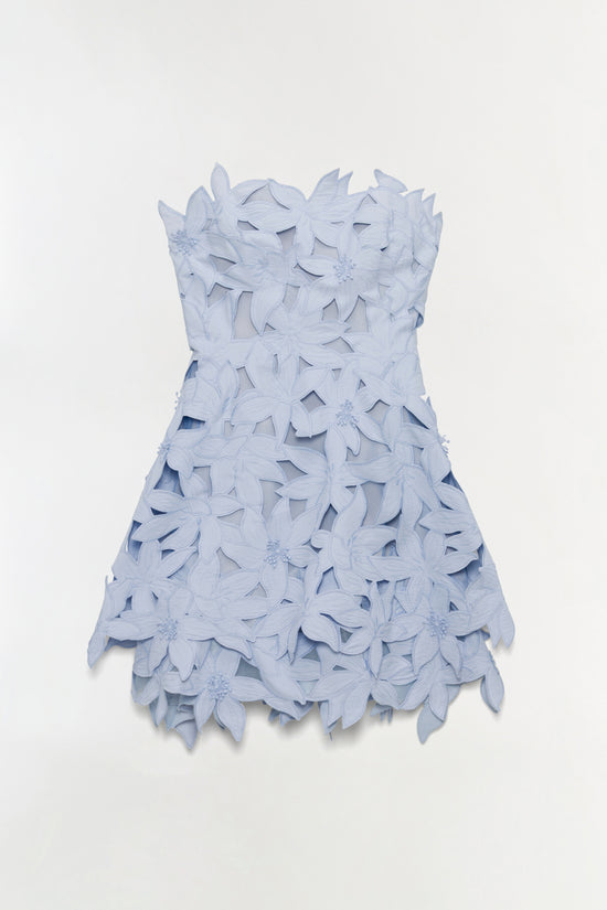 Miri Embroidered Cotton Bustier Mini Dress