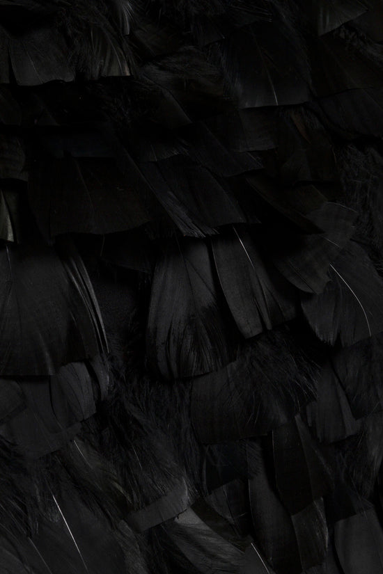 Black mini dress with layered feather detailing throughout the garment.