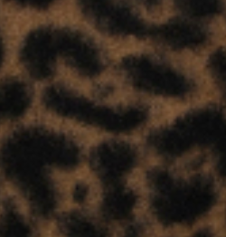 Rumi Wool Overcoat