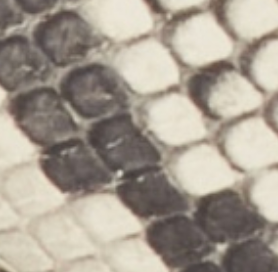 Clara Snake Leather Block Heel