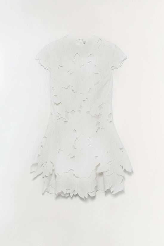 Holloway Embroidered Mini Dress