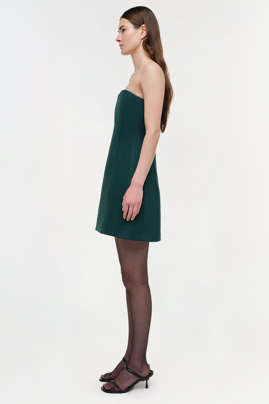 Devin Bustier Mini Dress