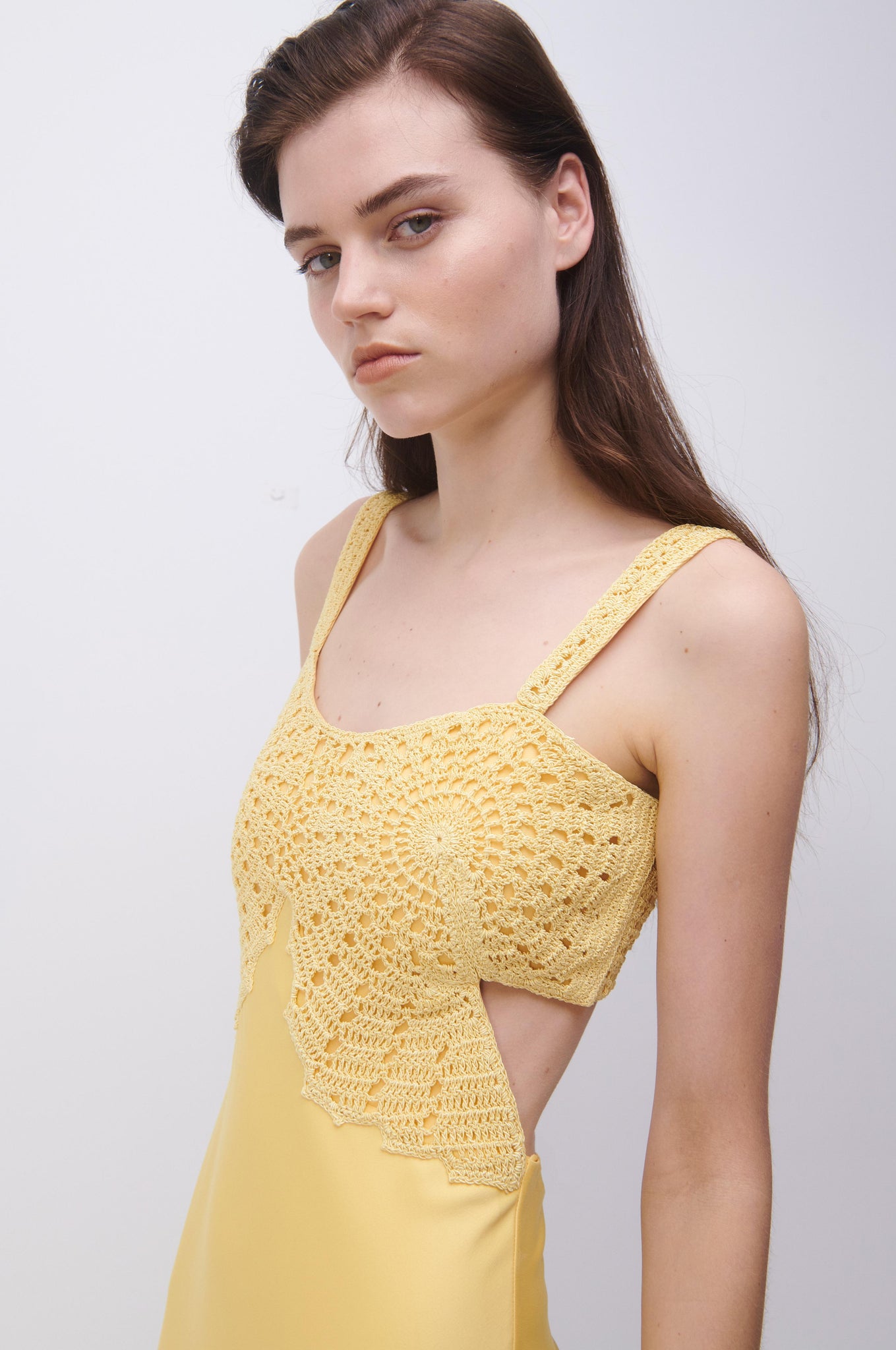 Roberta Fossil Crochet Dress