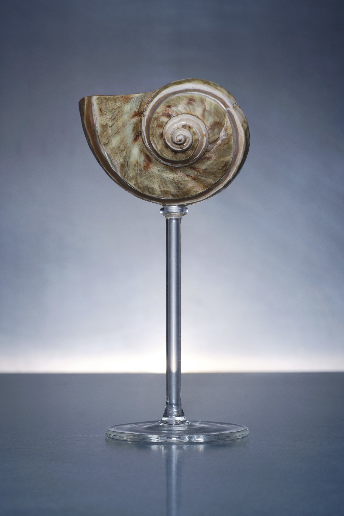 Wine Glass - SIMKHAI 